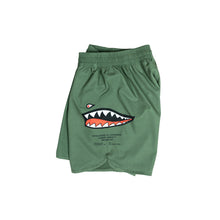 Charger l'image dans la galerie, P-40 MOYA COMBAT COURT