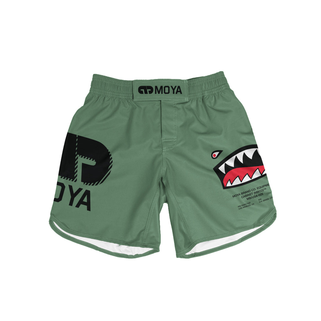P-40 MOYA COMBAT COURT