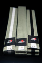 Load image into Gallery viewer, BJJ Try Hard-Gray Children Belts
